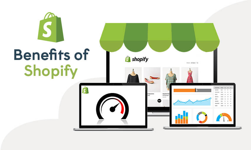 Shopify Cms Review