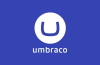 Umbraco Cms Review